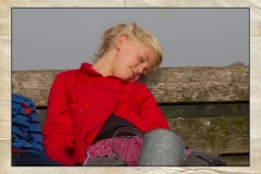 dankdag2012-43