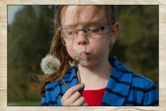 dankdag2012-44