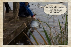 dankdag2012-47